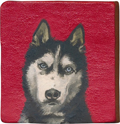 Ceramic handmade tile, hand painted with underglazes, high-fired, Husky dog portrait by Chantelle Norton.