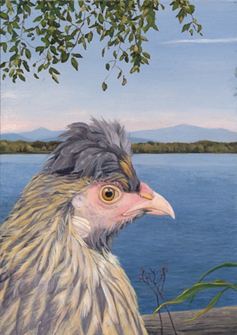 Oil painting on panel of a chicken in a landscape at North Hero on Lake Champlain by artist Chantelle Norton.