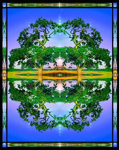 oak tree mandala, crop circles, symmetry, altar art