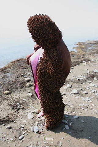 Pine Cone Birth
