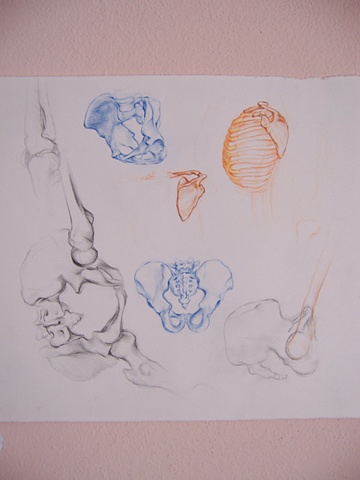 Studio Anatomico per Dal Abisso (Anatomic study for Out of the Abyss)
