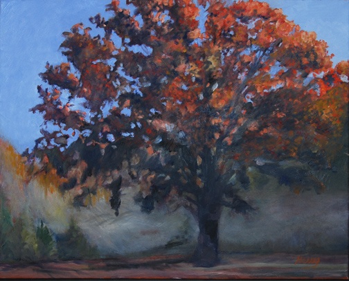Sundown Oak