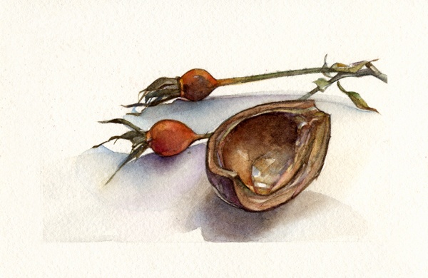 Chestnut and Rosehips