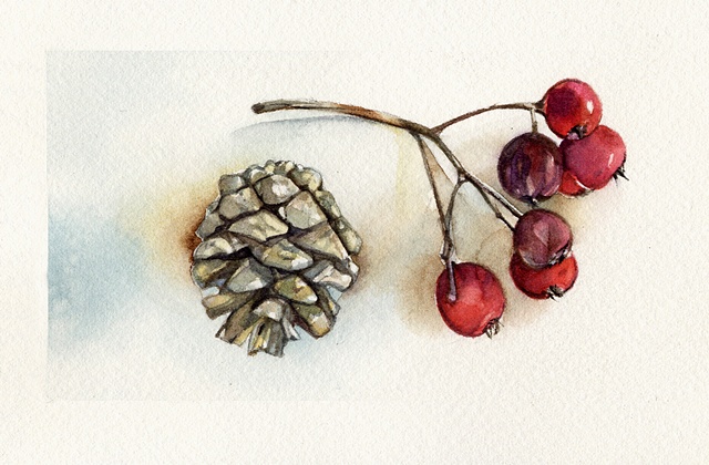 Pinecone and Rosehips