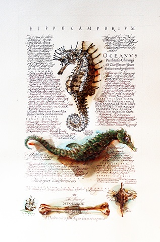 Bone Seahorse