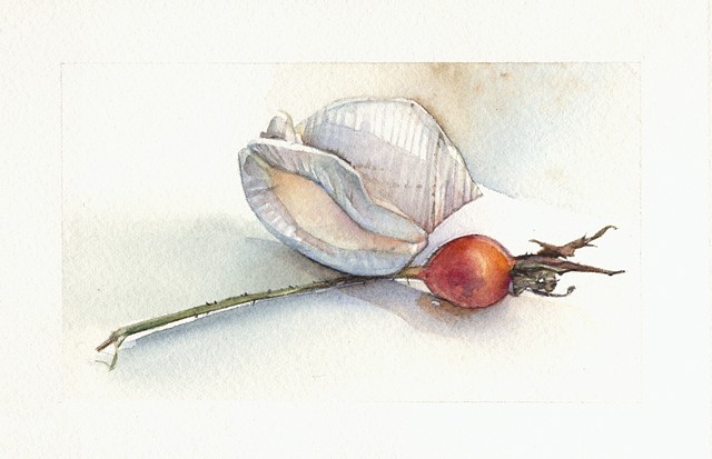 Shell and Rosehip