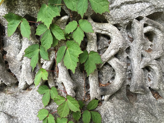 Doug Clouse, Vines growing over lettering in the Rustic style, Woodlawn Cemetery 