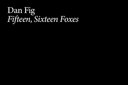 Dan Fig: Fifteen, Sixteen Foxes
