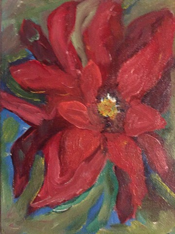 various tones of deep red create the luxurious and glowing petals of a poinsetta