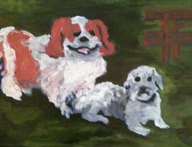 This dog "pals"--a Cavalier King Charles Spaniel and a Lasapoo, enjoy a summer day at the park.