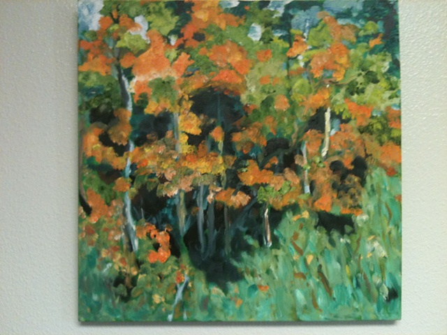 fall colorado aspen trees, gold, yellows, oranges, surround greens leading to the heart of the forest; oil painting by Judith 