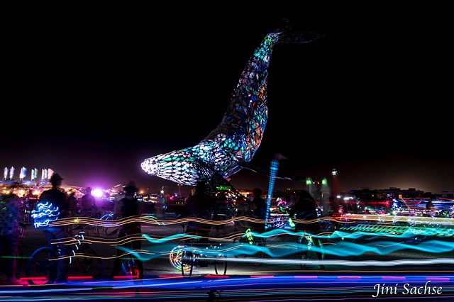 Burning Man, Burning Man 2016, Space Whale, Light Trails, Burning Man at Night, Whale