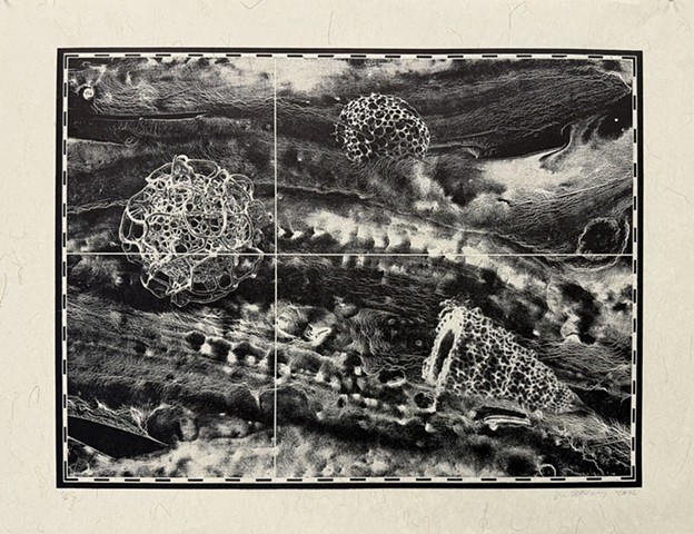 for the series, Worlds Beyond Perception