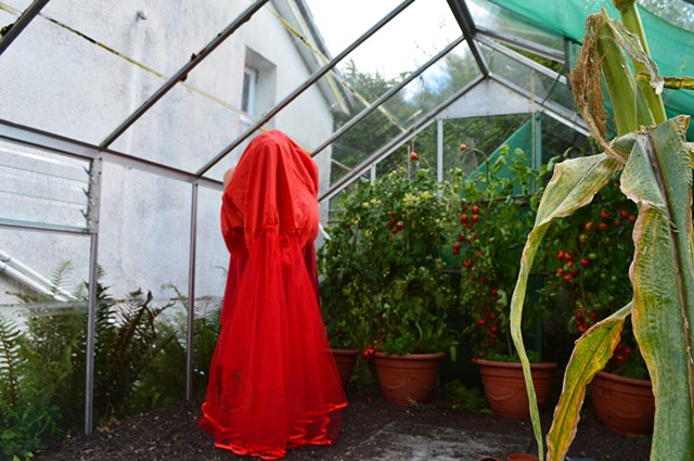 photograph of woman red dress tomatoes greenhouse in Wales by Robyn LeRoy-Evans