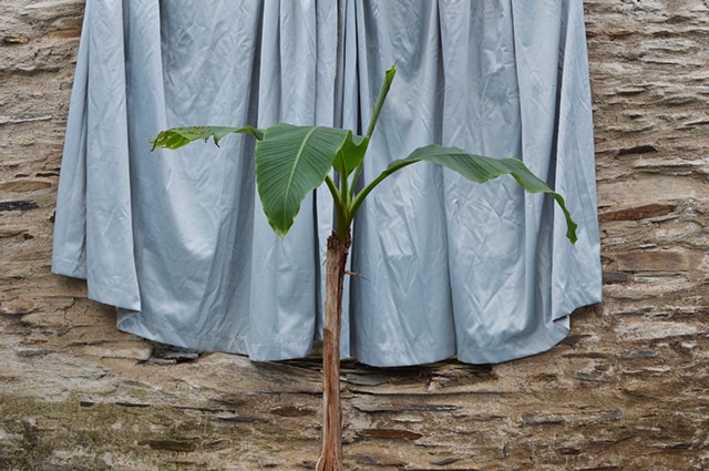 photograph of plant green curtains drapery stone building still life by Robyn LeRoy-Evans