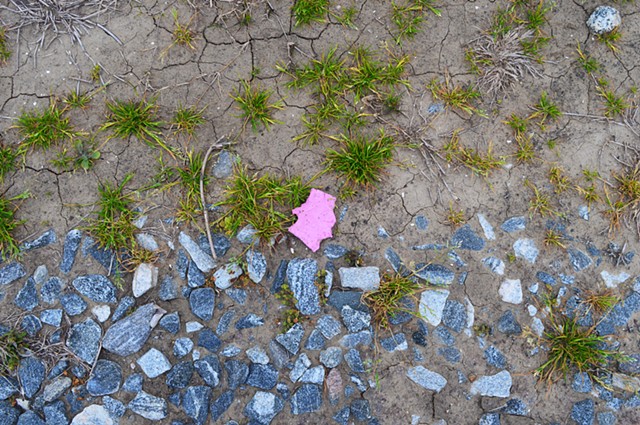photograph of pink garbage green grass landscape minimal by Robyn LeRoy-Evans