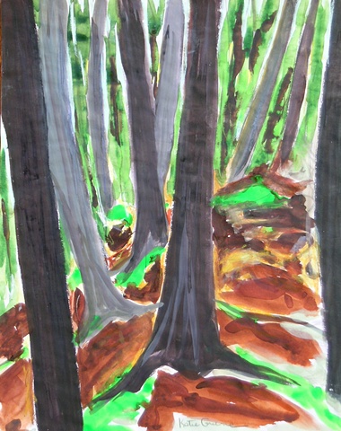 Within the woods, trees lean into each other, converging under a canopy of leaf and light.