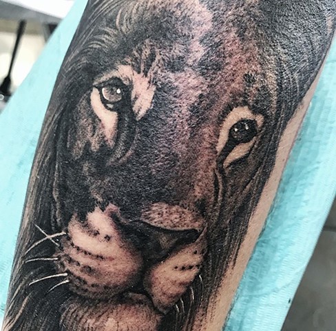 lion portrait tattoo in black and grey Strange World Tattoo Calgary Alberta Canada 