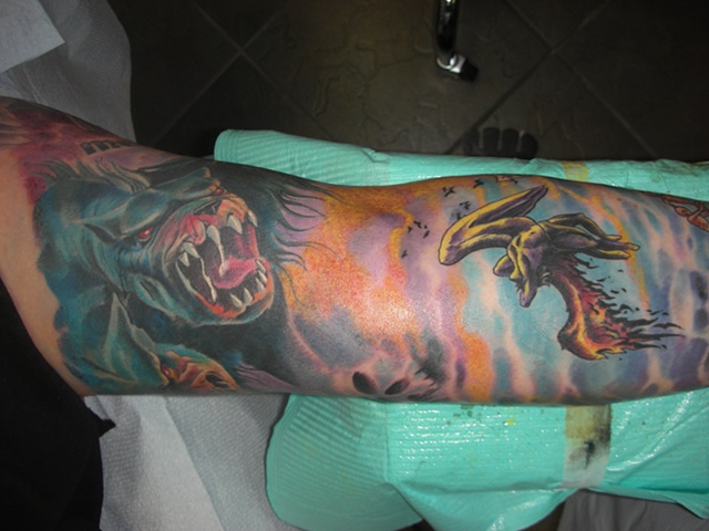 Tattoo colour sleeve 