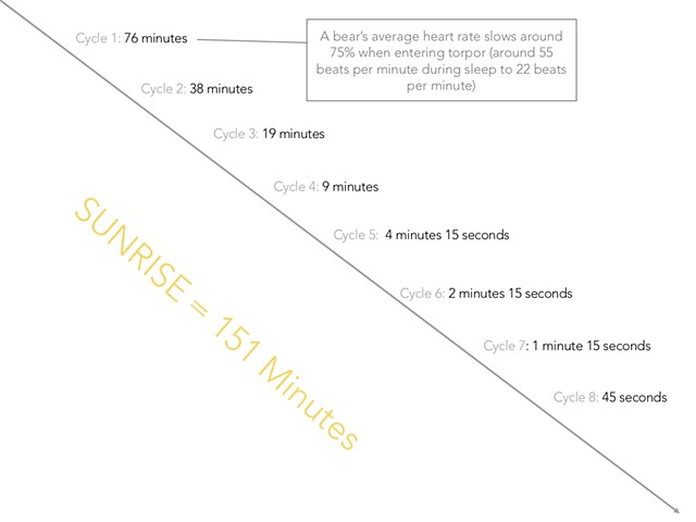 Internal Time Structure