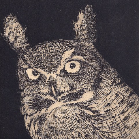 Long earred owl