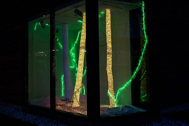 To See the Forest for the Trees