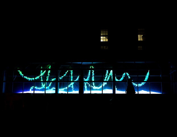 Lucid Nature (installation shot)