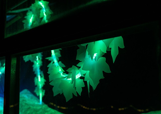 Lucid Nature (detail)