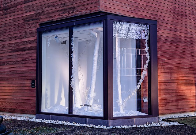 To See the Forest for the Trees