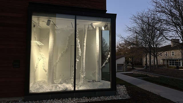 To See the Forest for the Trees