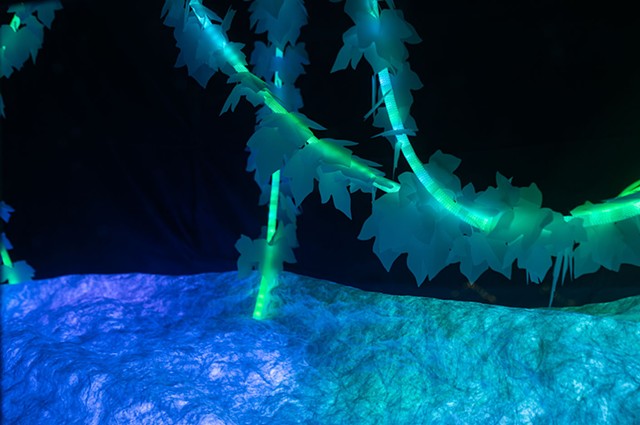 Lucid Nature (detail)