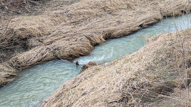 Ça ruisselle vers le ciel (finalistes)