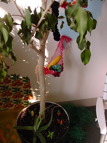 fruit hammock & micro-garden detail
