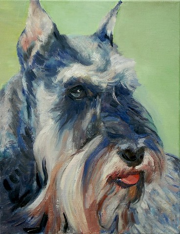 Dog art pet portrait painting of Schnauzer
