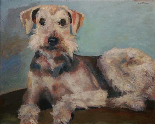Gracie, portrait, pet, dog, airdale, oil painting 