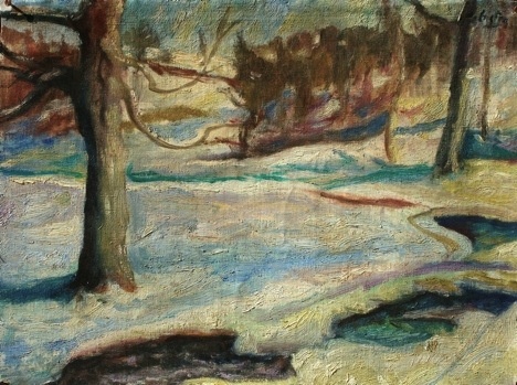 minnesota winter with stream