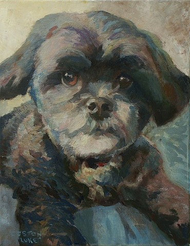 Dog art pet portrait painting of Poodle Shih Tzu mix, Shihpoo