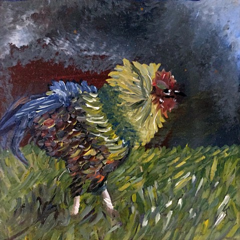 Storm Rooster