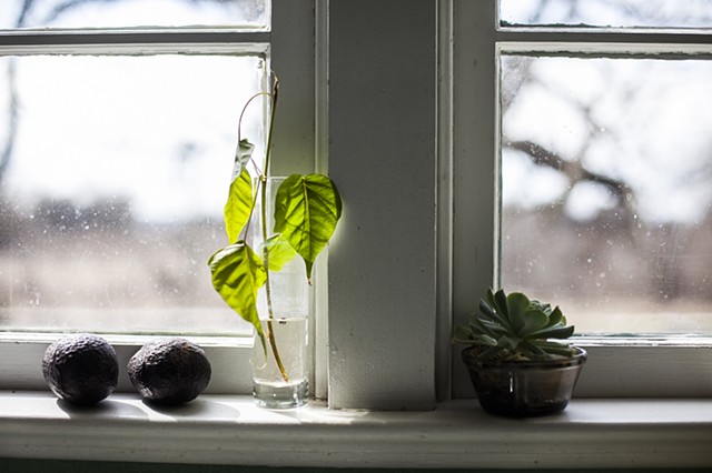 A leaf from a Bodhi tree sits on the window in the kitchen at Bodhi House. (click to read caption)