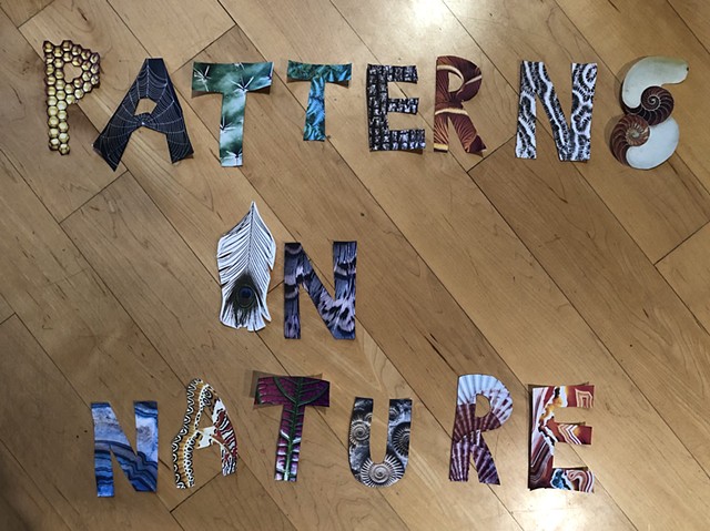 Patterns In Nature For Kids