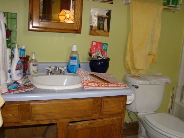 Cottage Home 1890's--bathroom before