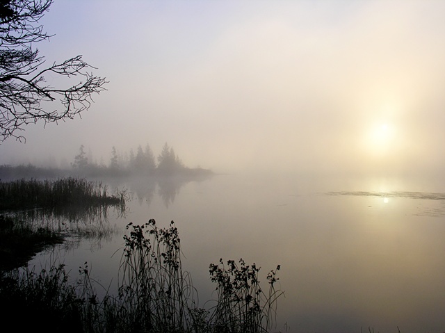 fog morning lake