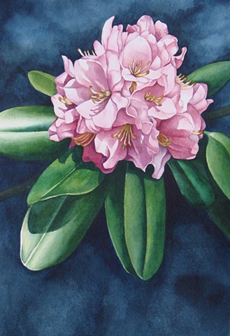 Rhododendron-Pink Unframed