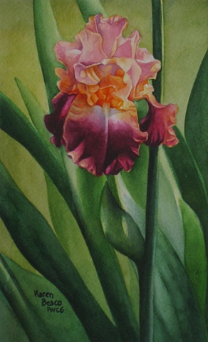 Iris Peach Purple-Framed
