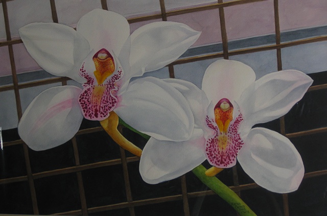 Orchids White on Fence-Unframed