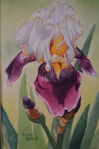 Yellow Purple Iris-Framed