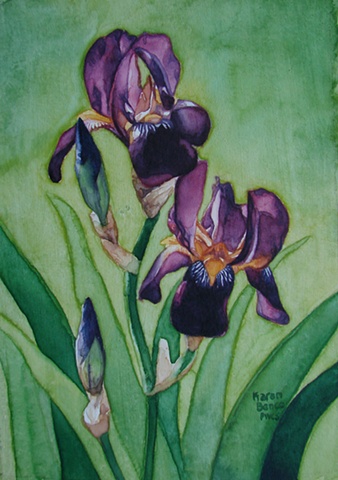 Irises Light & Dark Purple1-Framed
