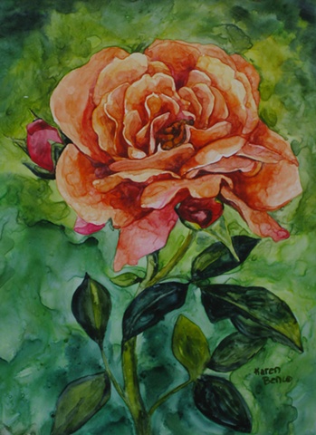 Rose Peach Other-Unframed