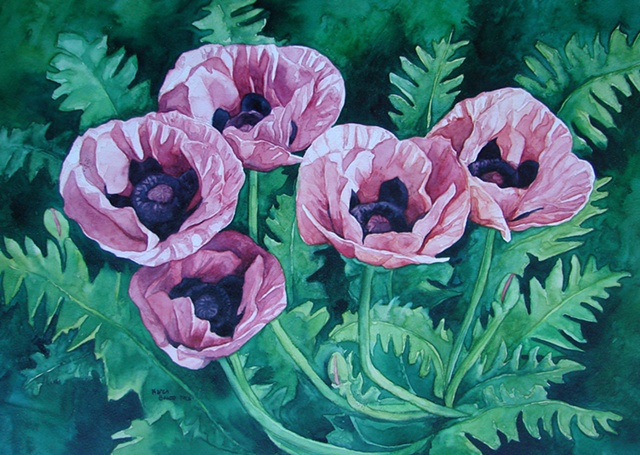Poppies Pink Coral