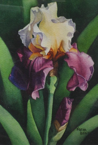 Irises White Purple-Framed